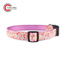 专注细节，守护陪伴——昌顺宠物用品厂，打造宠物与主人的温馨世界